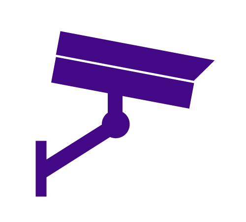 Surveillance Icon